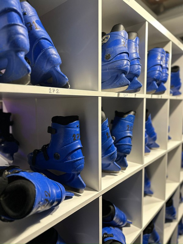 Kallax Units for skate storage