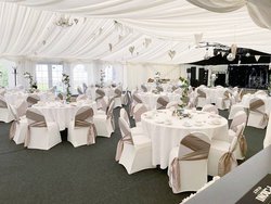 Marquee wedding business
