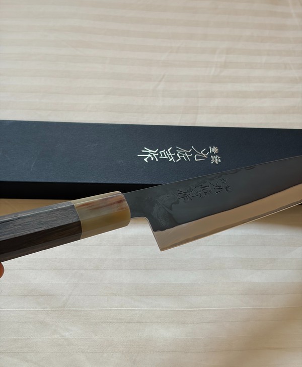 New Professional 210MM Gyuto Knife