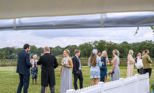 Buy Panoramic Window Walls