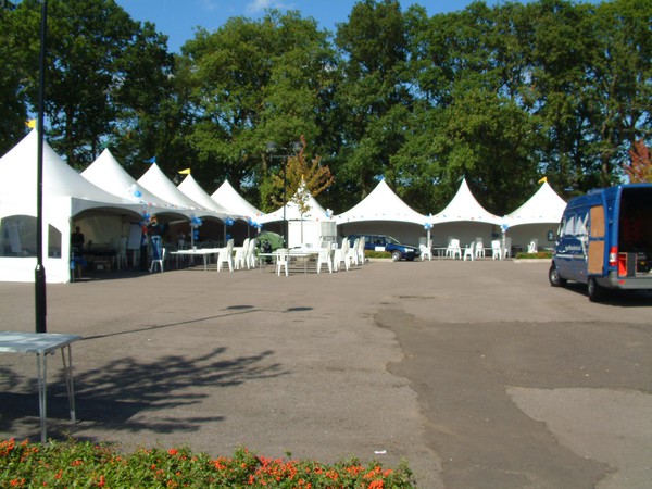 Marquee business for sale south coast