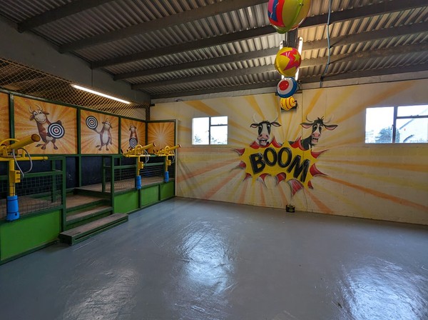 Soft Ball Cannons For Sale Soft Ball Cannons For Sale