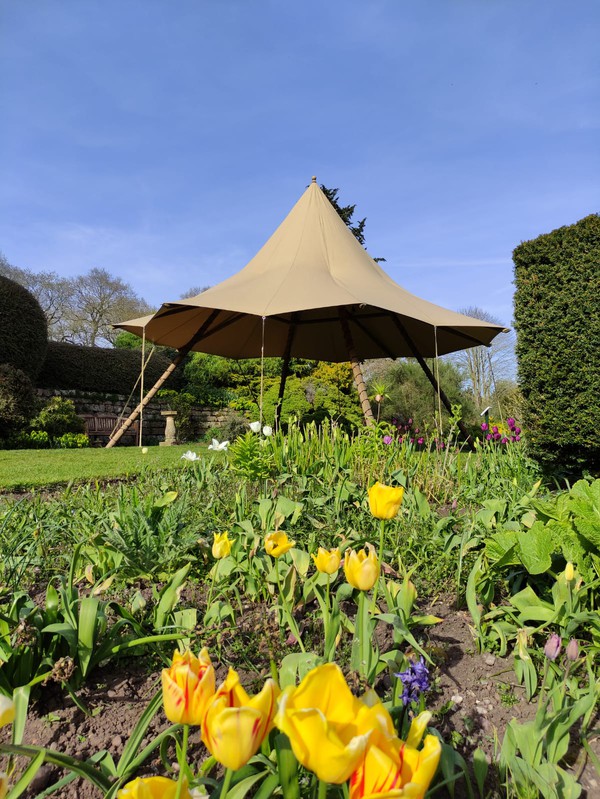 Small garden tipi for sale