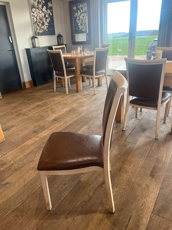 Dining Chairs with light frame