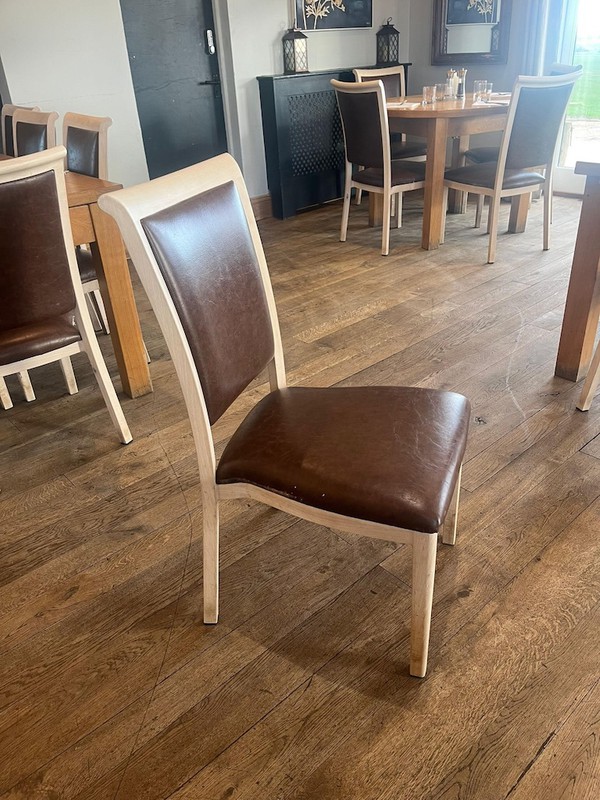 Elegant Dining Chairs