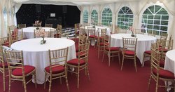 250x Burgundy Seat Pads For Sale