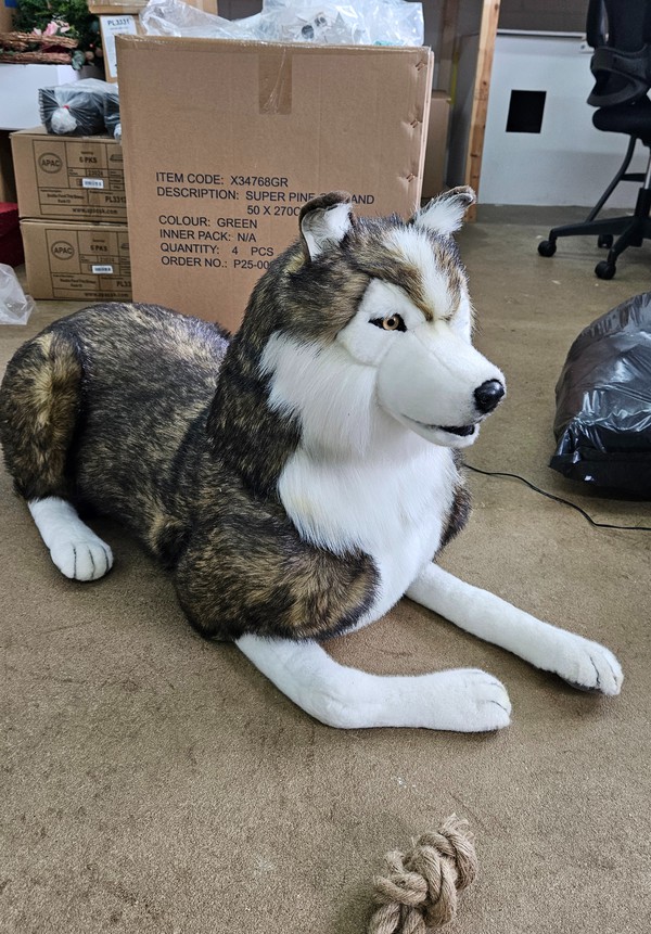 Lifesize Animatronic Husky For Sale Lifesize Animatronic Husky For Sale