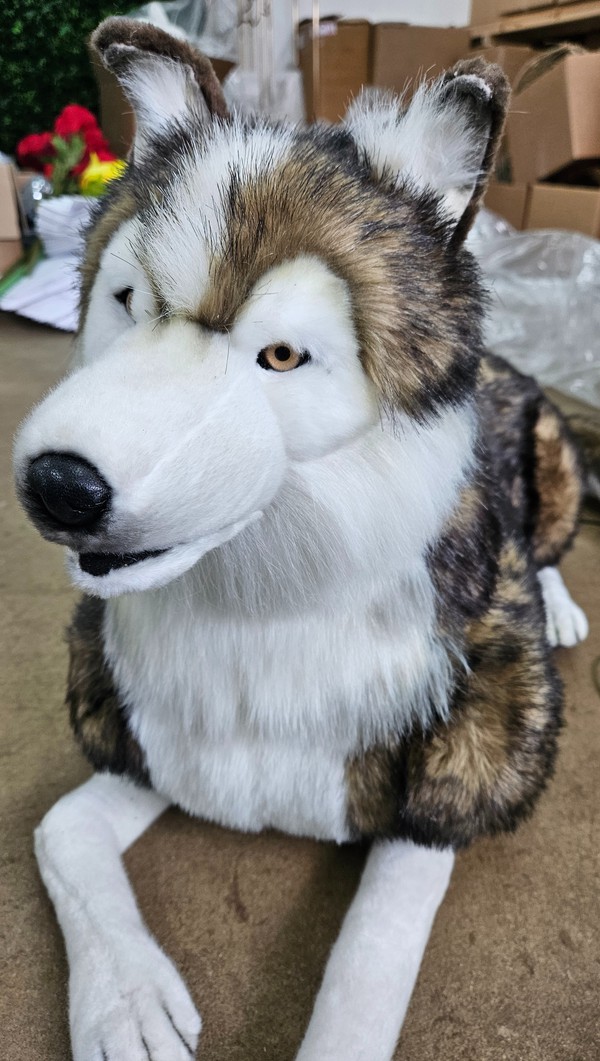 Secondhand Lifesize Animatronic Husky Secondhand Lifesize Animatronic Husky