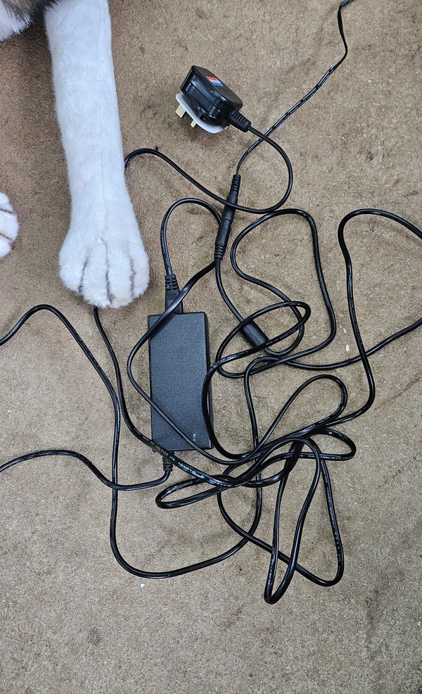 Used Lifesize Animatronic Husky Used Lifesize Animatronic Husky