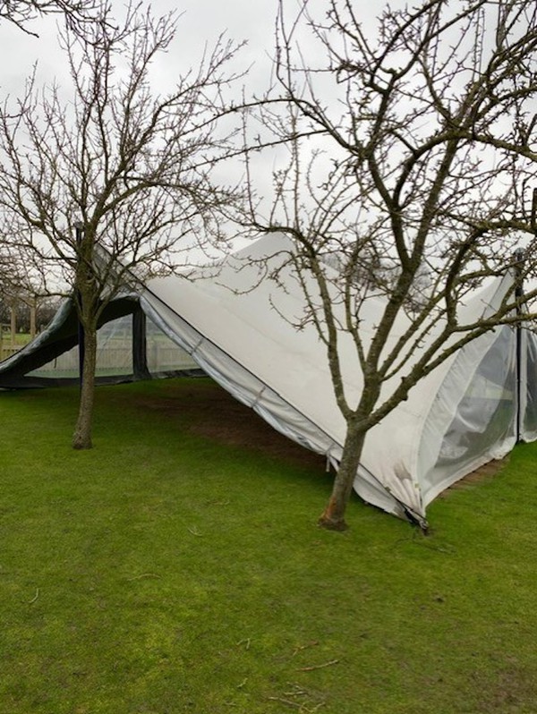 Manta Stretch Tent