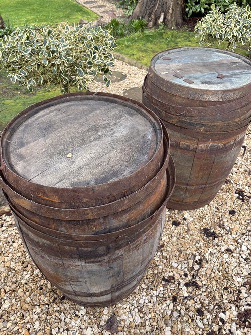 Pair of Oak Barrels