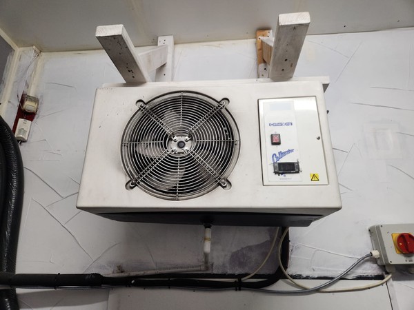 Beer cellar cooler for sale