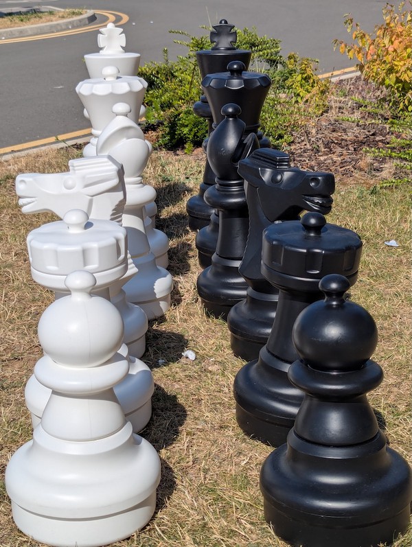 King, Queen, Bishop, Knight, Rook, Pawn