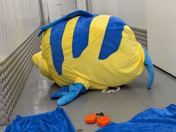 fish mascot costume for sale