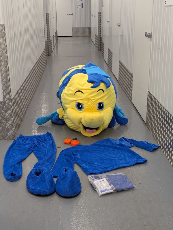 Complete mascot costume