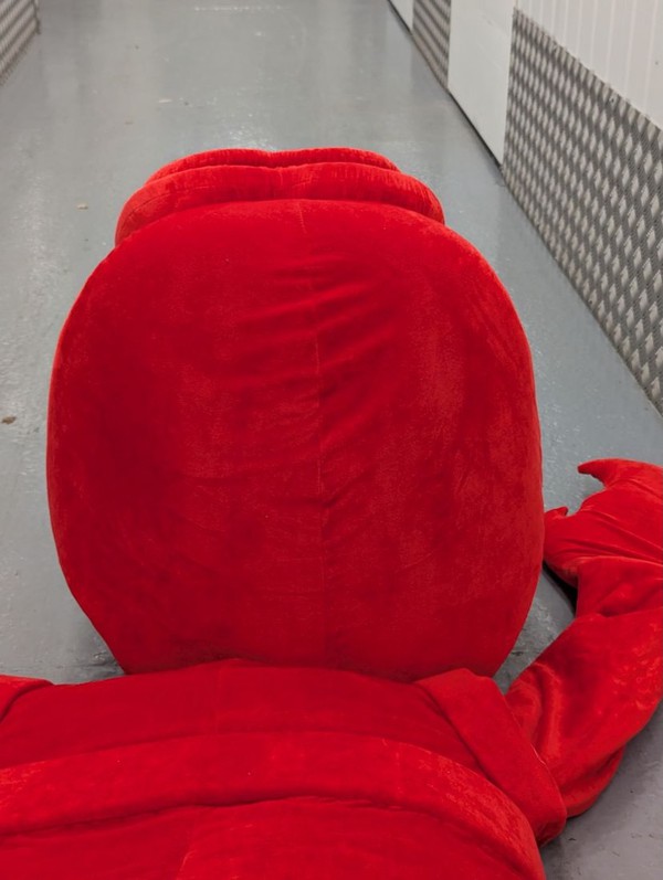Red Crab Mascot Adult Costume