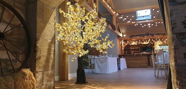 Light up Wish Tree Light up Wish Tree