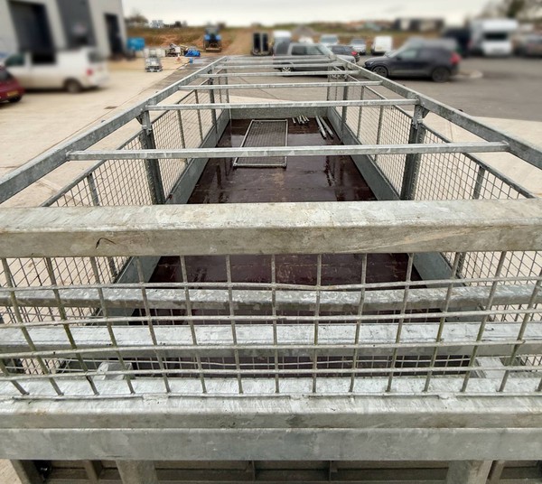 Ifor Williams LM187 mesh side trailer for sale