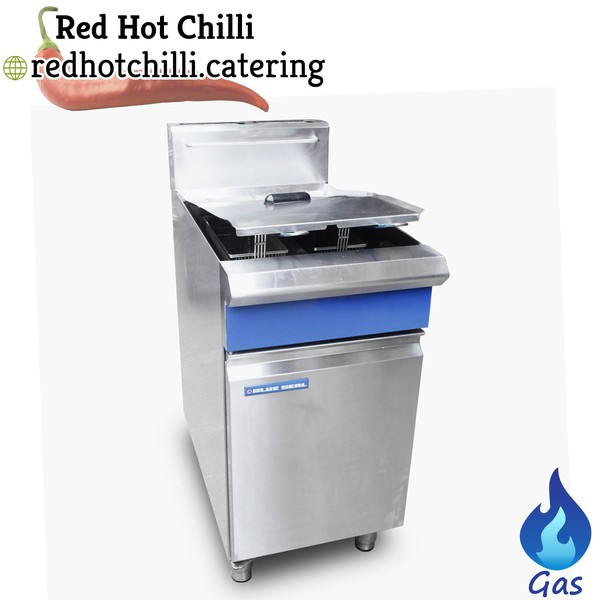 Blue Seal Twin Tank Fryer
