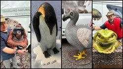 Animals of the World Collection