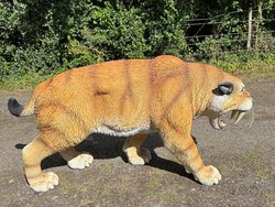Fibreglass Saber Toothed Tiger