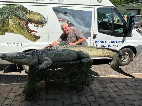 Life Size Crocodile