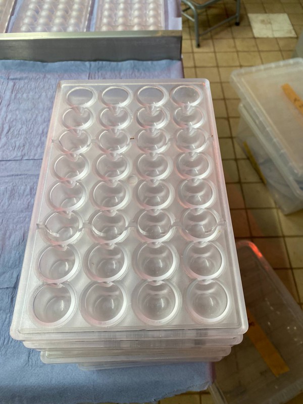 Secondhand Chocolate World moulds