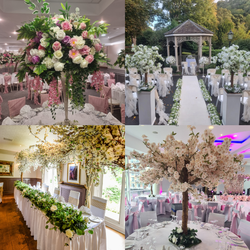 Wedding Hire Business For Sale