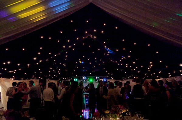 Star Light Roof Sections For Sale