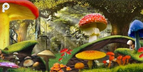 8m x 4m Wonka Mushroom Backdrop For Sale