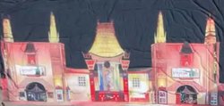 8m x 4m China Town Backdrop For Sale