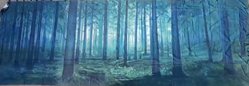 8m x 4m Dark Forest Backdrop For Sale