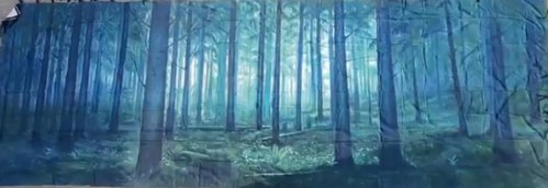 8m x 4m Dark Forest Backdrop For Sale