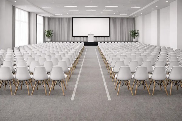 Meeting chairs - Eames chairs