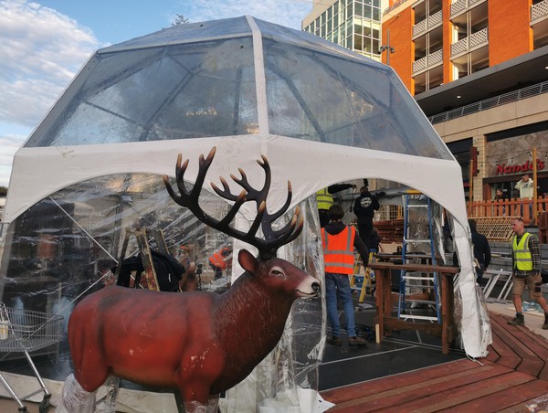 8m Iglo Dome Marquee