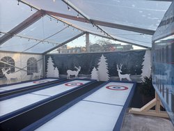 Synthetic Curling Lanes For Sale