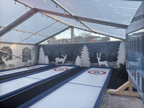 Synthetic Curling Lanes For Sale