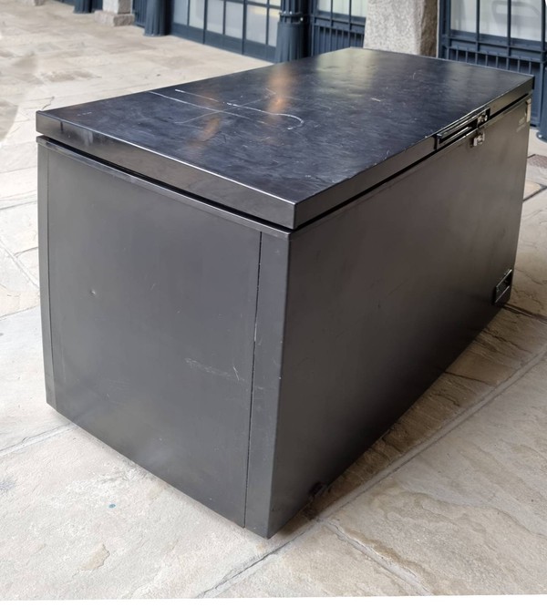 Restaurant chest freezer