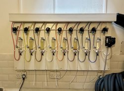 8 Keg Line Cellar Board For Sale