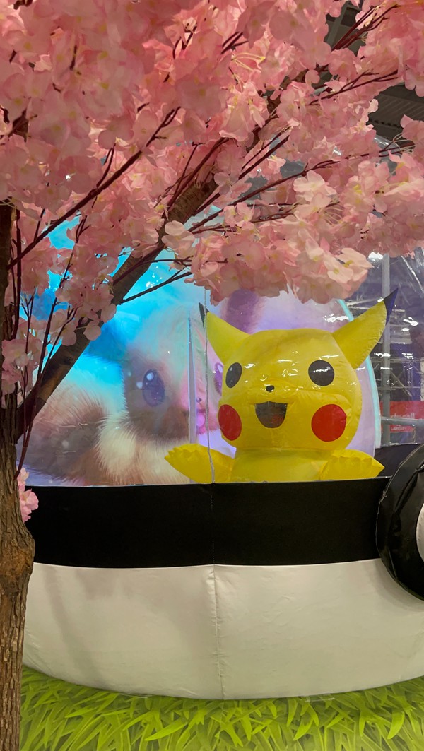 Used Giant Inflatable Pokeball For Sale