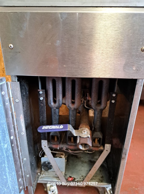 Twin Basket Gas Fryer