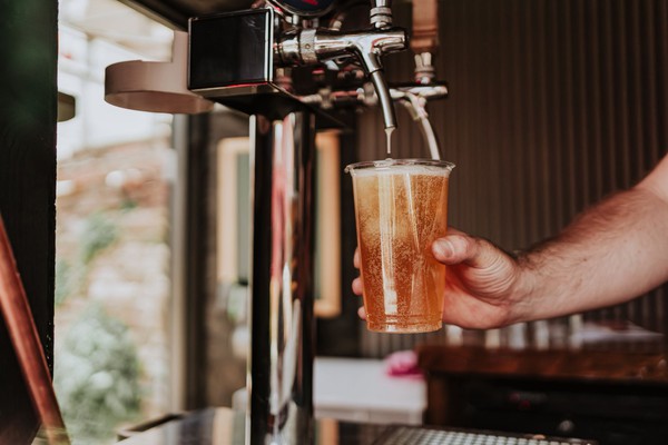 Remote bar cabin for sale