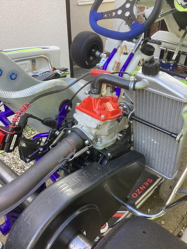 Secondhand Synergy Junior Rotax 125 Kart