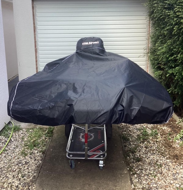 Secondhand Synergy Junior Rotax 125 Kart For Sale