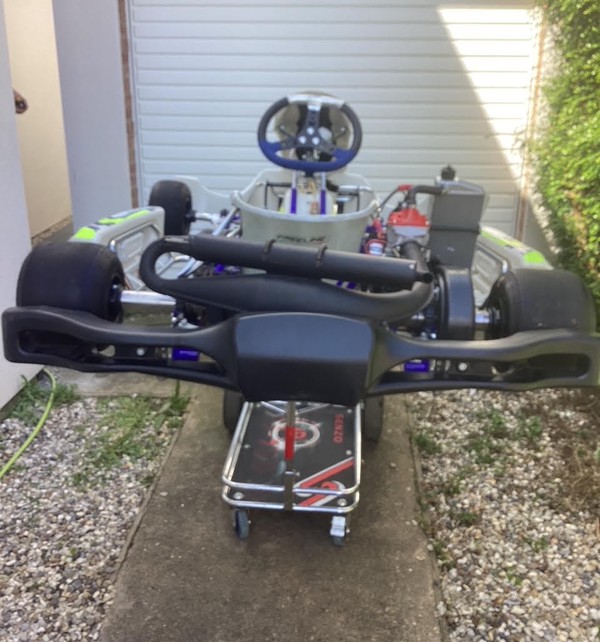 Synergy Junior Rotax 125 Kart For Sale
