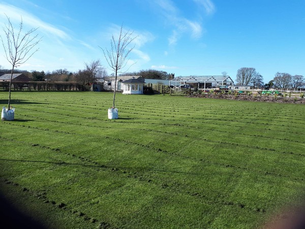 Toilet cabin for sale