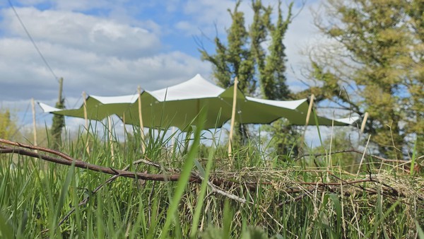 Used White stretch tent for sale