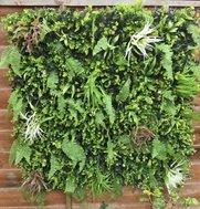 Artificial Living Wall