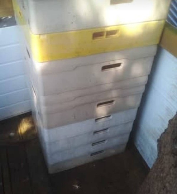 Storage trays