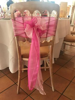 Pink Organza Bows